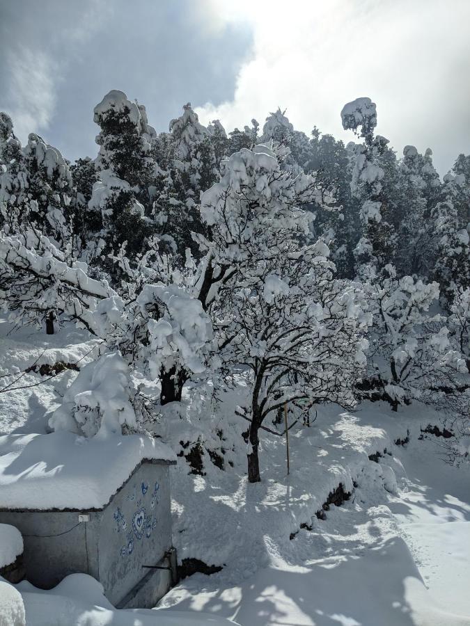 Namastay Himalayas, Канатал Экстерьер фото